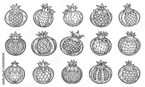 Intricate Pomegranate Line Art Illustration for Adults, Designed for Stress Relief and Relaxation, Ideal for Printable Art Therapy or High-Quality Adult Coloring Books.