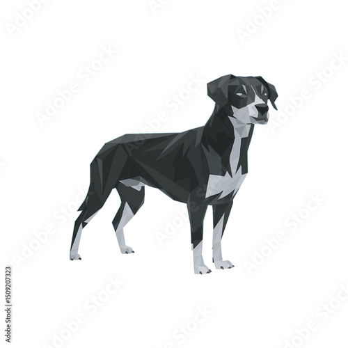 Low Poly Dog in Vector black and grey