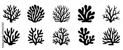 Black silhouettes of different coral reef elements