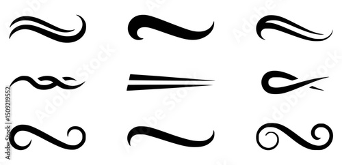 Decorative calligraphic swirls and curls black and white