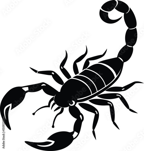 scorpion vector silhouette 