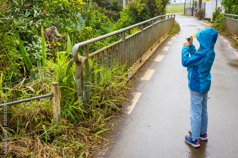 Φωτογραφία Beautiful view of a young girl taking a photo of a macaque sitting in a tree dur