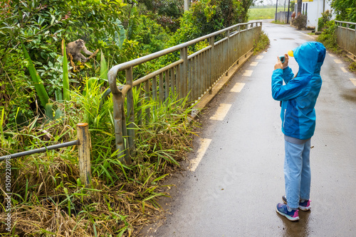 Beautiful view of a young girl taking a photo of a macaque sitting in a tree during a close-face-to-face encounter in the wilderness of Mauritius