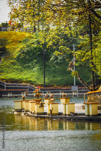Beautiful view of macaques taking over the promenade along the banks of the Grand Bassin Hindu temple in Mauritius