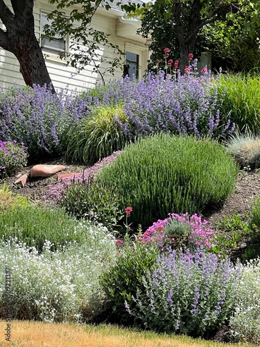 beautiful xeriscape garden in spring, Salt Lake City, utah