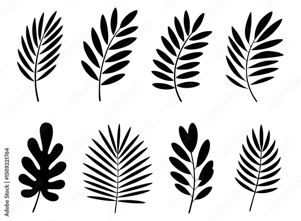 Obraz premium Set of black and white tropical leaf illustrations