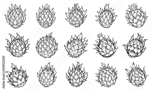 Dragon fruit Coloring Page for Adults with Detailed Line Art, Perfect for Relaxation and Stress Relief, Ideal for Printable Art Therapy or Adult Coloring Book Use, High-Quality Design.