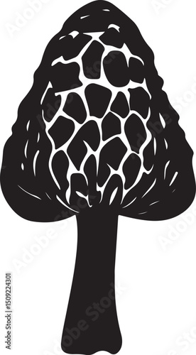Morel Mushroom Silhouette Vector Illustration on Transparent Background
