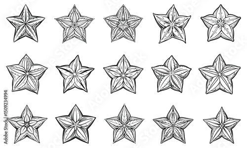 Detailed Starfruit Coloring Page for Adults with Fine Line Art, Ideal for Art Therapy, Relaxation, and Stress Relief, Perfect for Printable or Adult Coloring Book Use.