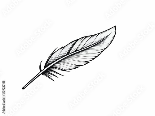 Delicate black and white feather resting on a smooth surface, evoking nature's elegance and tranquility in a minimalist style