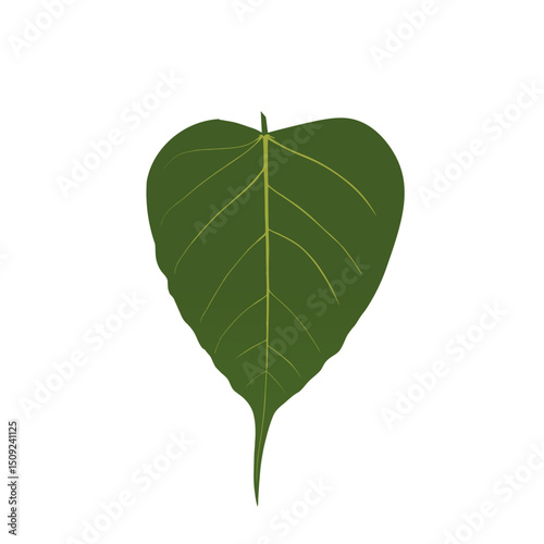 Bo leaf , Sacred fig leaf Vector for Vesak Day – Sacred Buddhist Symbol Illustration