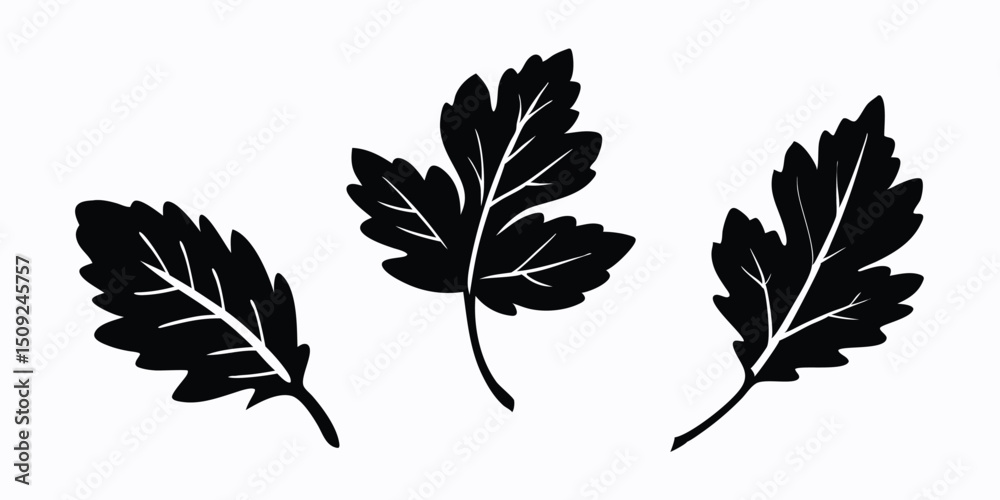 Obraz premium vector silhouettes of leaves