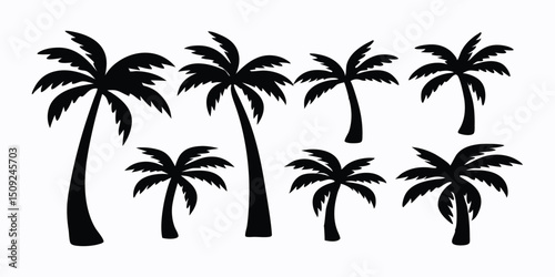 palm trees silhouettes