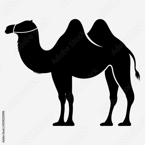 Camal the ship of  dasard