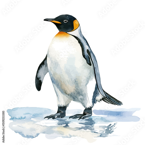 Penguin Walking On Ice, watercolor vector, high quality, isolated on a white background.