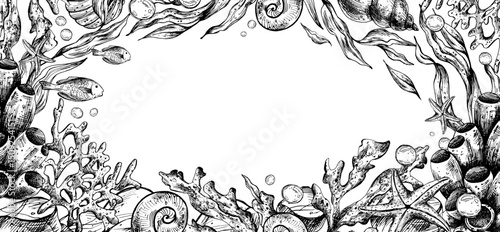 Marine underwater clip art with shells, sea sponges, corals, starfish, pebbles, seaweed, fish, bubbles. Graphic illustration hand drawn in black ink. Border, template, frame EPS vector