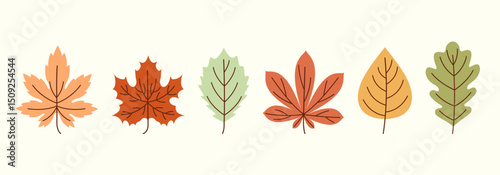 Set of hand-drawn autumn leaves. Botanical vector elements for seasonal design