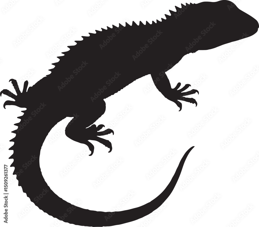 Obraz premium Black silhouette illustration of a lizard reptile with a spiky dorsal crest and a curved tail