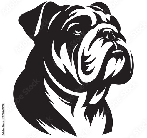 Striking High Contrast Black and White Stylized English Bulldog Face Head Graphic Vector Illustration - Canine Animal Portrait Artwork Design