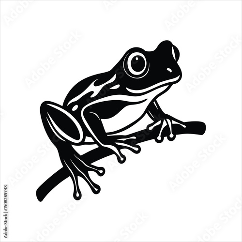  Tree Frog on Branch Black and White Silhouette