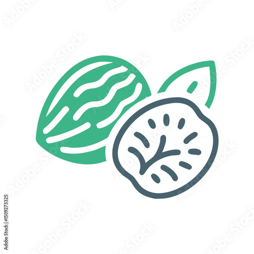 Almond and nutmeg illustration with green leaves on a white background  