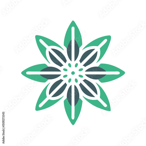 Star anise floral design in minimalist style with green colors  