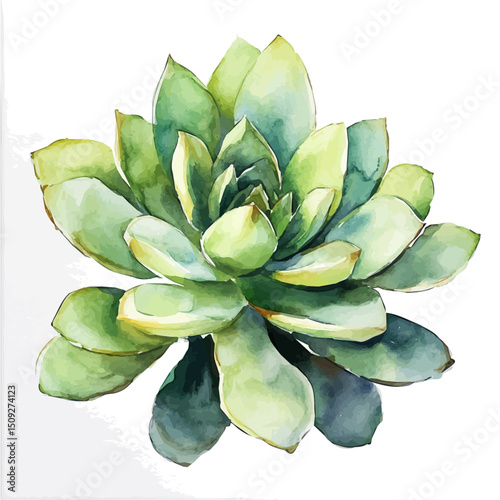 Painting On Canvas, watercolor clipart vector, high quality, isolated on a white background.