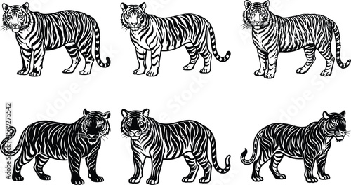 Set of stylized vector illustrations featuring two white tigers and two black panthers in a walking pose, rendered in bold black-and-white line art with mirrored symmetry.