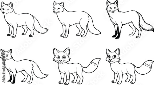 Set of  Vector hand drawn cute animal set. Sketch illustration with walking, playing and sleeping foxes.
