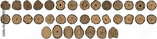 Wood slice icon vector set. Wood rings illustration sign collection. Tree symbol. Sawmill logo. Collection of wood slices linear Icons