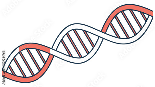 Stylized depiction of a dna double helix structure with alternating colored strands and connecting lines
