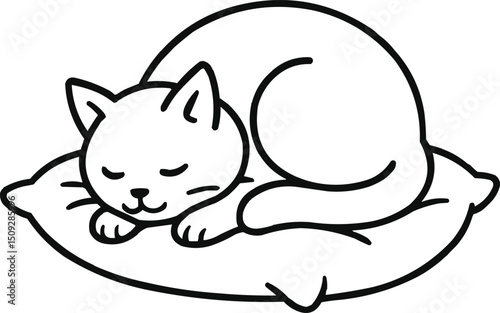 cat and mouse