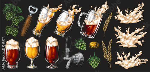 Variety of beers and brewing elements shown