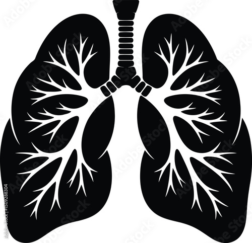 Human Lungs Silhouette Vector with Bronchial Tree.