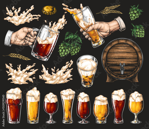 Beer varieties and brewing elements on display