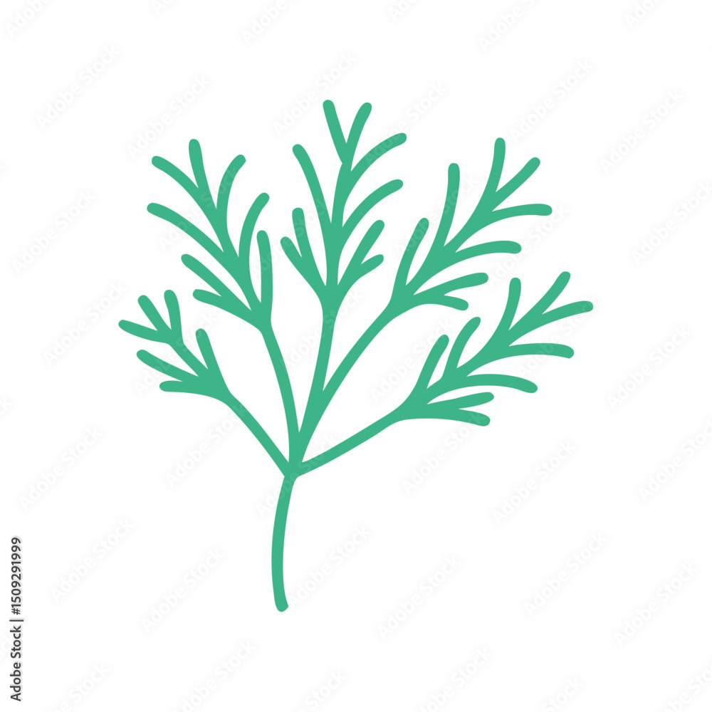 Fototapeta premium Dill sprig illustration in green outline style on a white background 