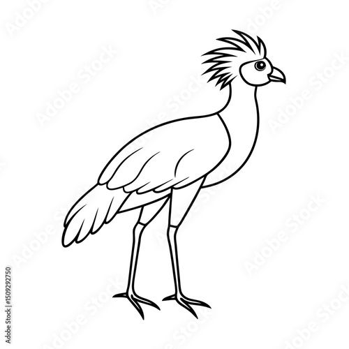 Flying Secretary Bird Outline Sketch