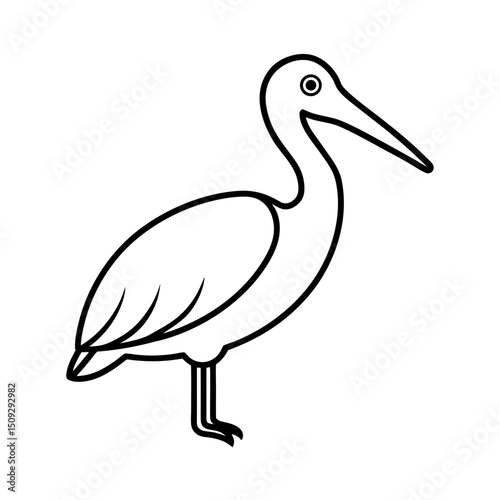 Spot Billed Pelican Outline Line Art