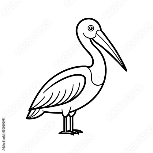 Flying Spot Billed Pelican Drawing Vector