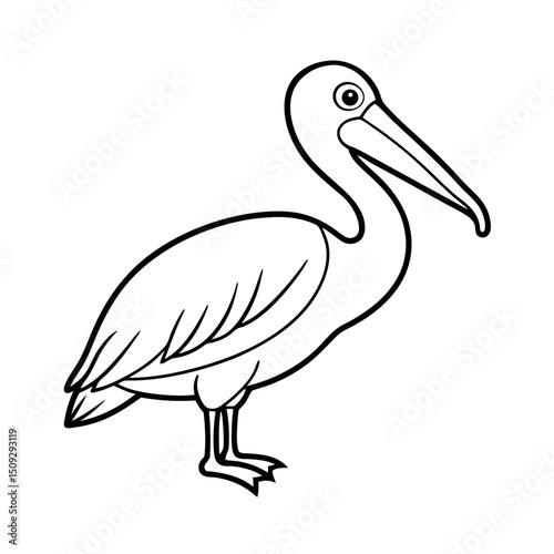 Minimal Spot Billed Pelican Line Artwork