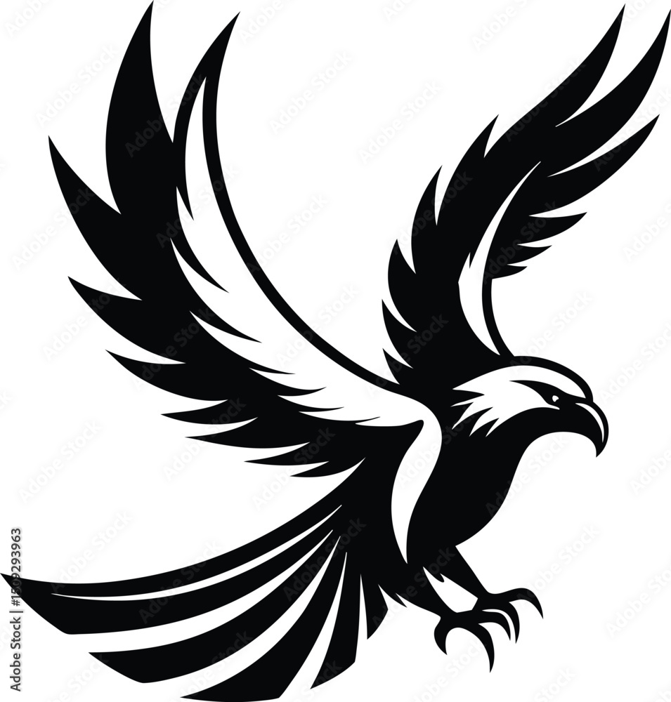 Fototapeta premium eagle silhouette, wings open, strong flight 