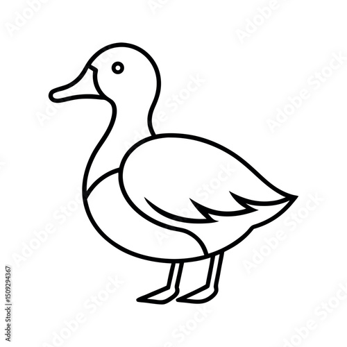 Yellow Billed Teal Minimal Line Art