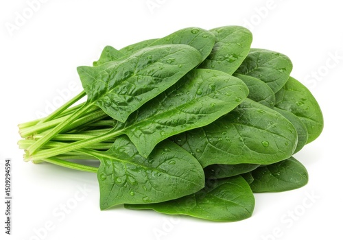 Fresh spinach leaves with water droplets arranged in a bundle on a plain white background surface