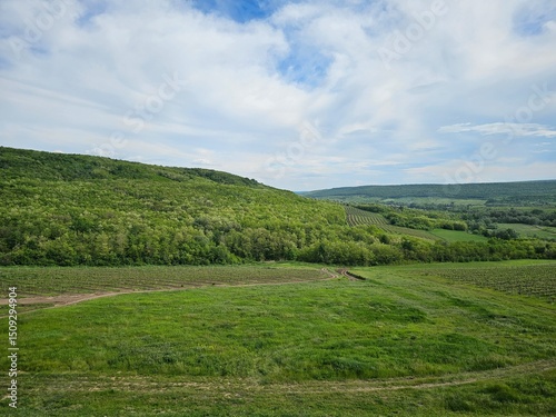 landscape with green field and blue sky
