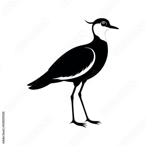Southern Lapwing Flying Shadow Art