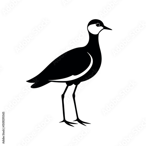 Southern Lapwing Outline Silhouette Shape