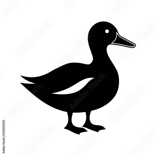 Black Silhouette of Yellow Billed Teal Waterfowl Vector