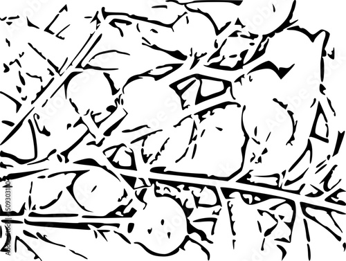 vector illustration of a tree