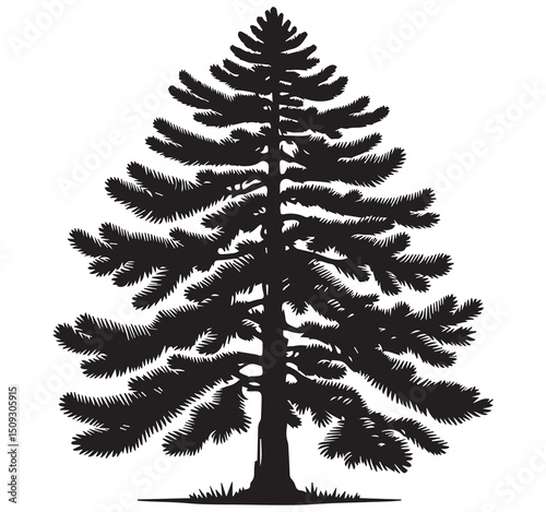 Highly Detailed Black and White Silhouette of a Coniferous Evergreen Tree - Stylized Vector Graphic for Nature and Forest Designs