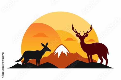 kangaroo in the sunset